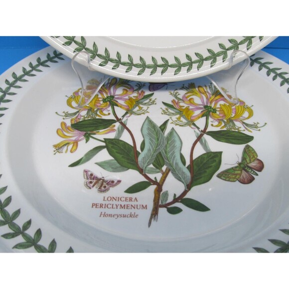 Portmeirion Chrysanthemum And Lonicera Set Of 2 Floral 10 1/2" Dinner Plates VGC - Picture 4 of 13